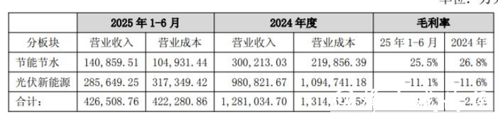 双良节能：上交所“打假”股价应声跌停，高负债与续亏压力并存