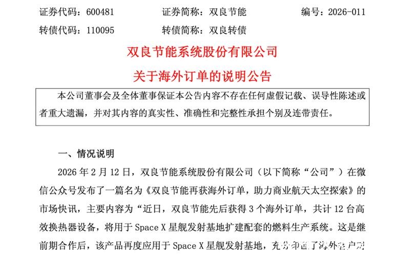 双良节能：上交所“打假”股价应声跌停，高负债与续亏压力并存